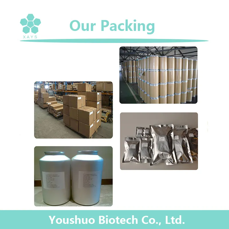 Supply CAS 3081-61-6 Organic Green Tea Extract 98% L-Theanine Powder