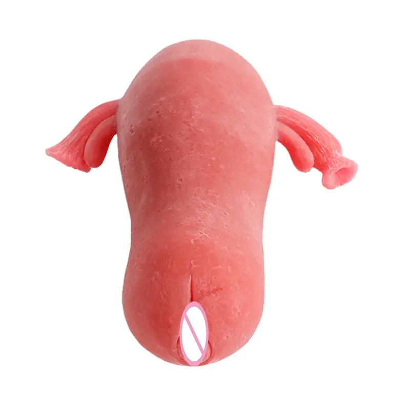 Utérus réel 3D, masturbateur pour homme, vagin réaliste, jouets sexuels, masturbation pour hommes, poupées sexuelles