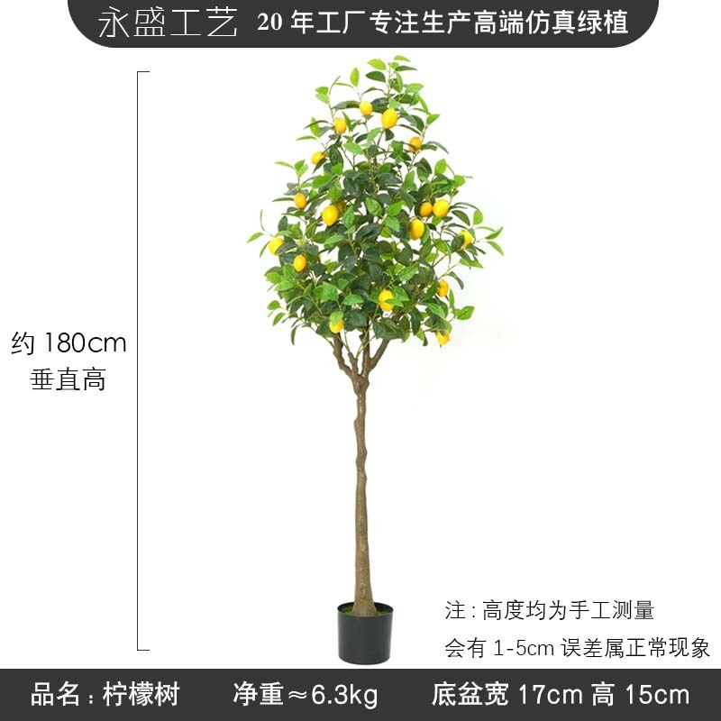 5ft lemon tree