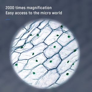 Microscopio Digital portátil con aumento de 5MP de fábrica más nuevo 2025, microscopio WIFI 2000X, microscopio de 2, - Product Image 5