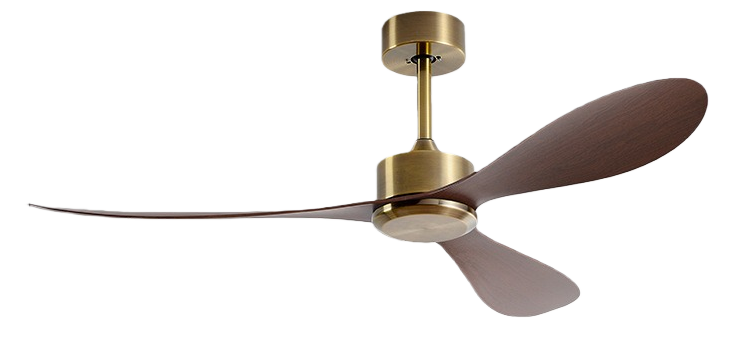 วอลนัทสีบรอนซ์แอนทีค