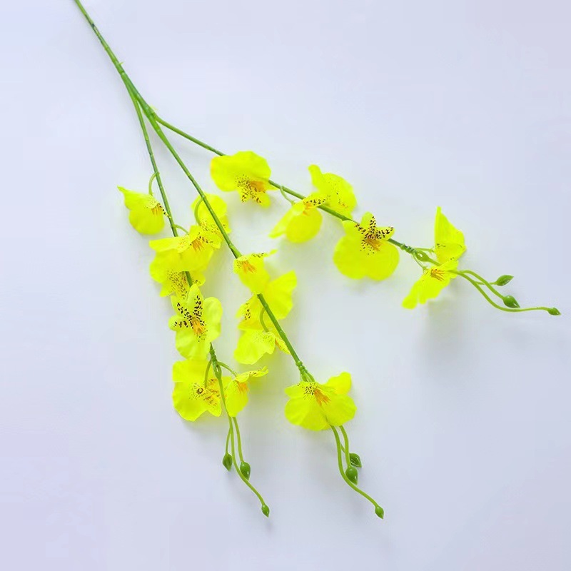 Orchidée dansante courte jaune