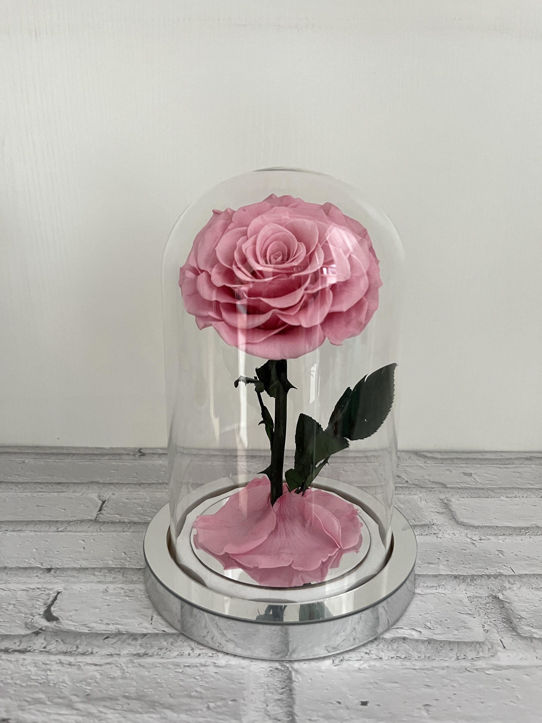 rosa cereza (12*20cm)