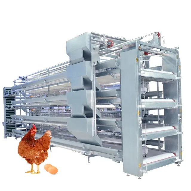 Casa de granja de aves de corral cerrada tipo H, sistema completo de jaula de pollo con batería automática para capas de huevos
