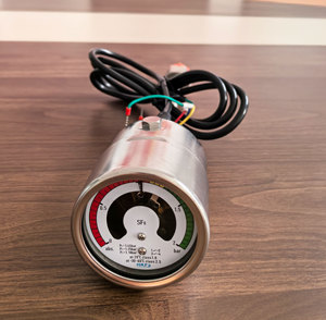 電力システム用途向けのインテリジェントSF6密度モニター - Product Image 5