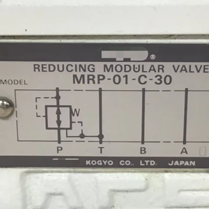 Nuovo DSG-01-2B2-D24-60 originale pronto per l'automazione industriale 129926 Controller di programmazione PLC dedicato PAC - Product Image 1
