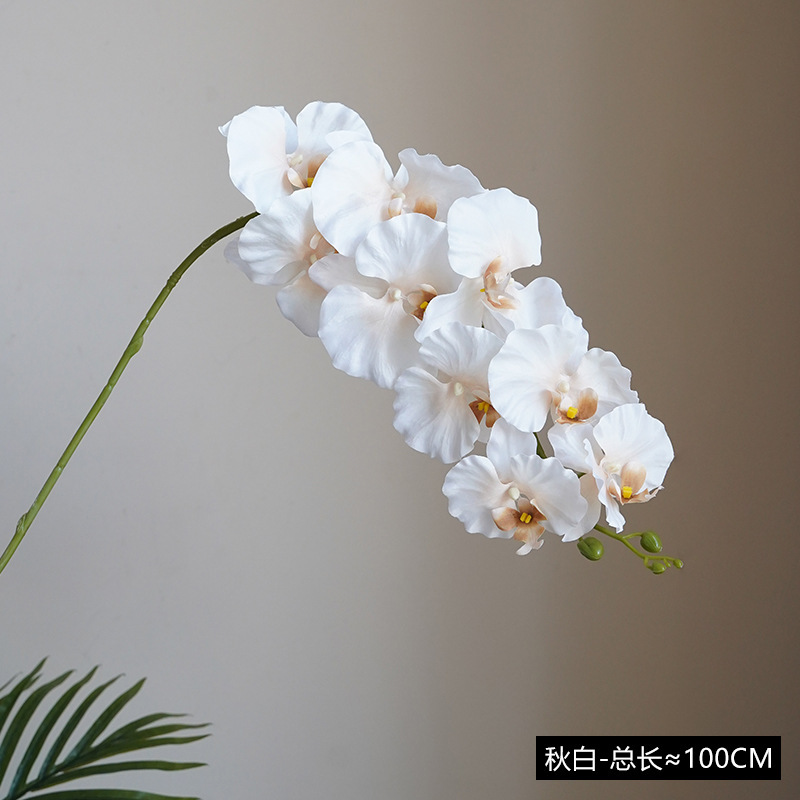 Qiu bai