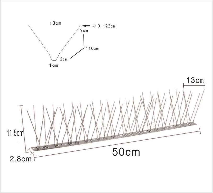 Base en acier inoxydable de 50 cm + 30 ensembles, soit un total de 60 pointes.