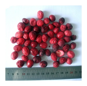 BRC Certified Factory Supply Healthy Freeze-Dried Fruit Bulk Packaged Sour <strong>Cranberry</strong> Originating From North America