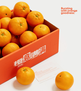 包装运输纸箱蘑菇农场新鲜农产品纸箱蔬菜水果番茄包装纸板箱