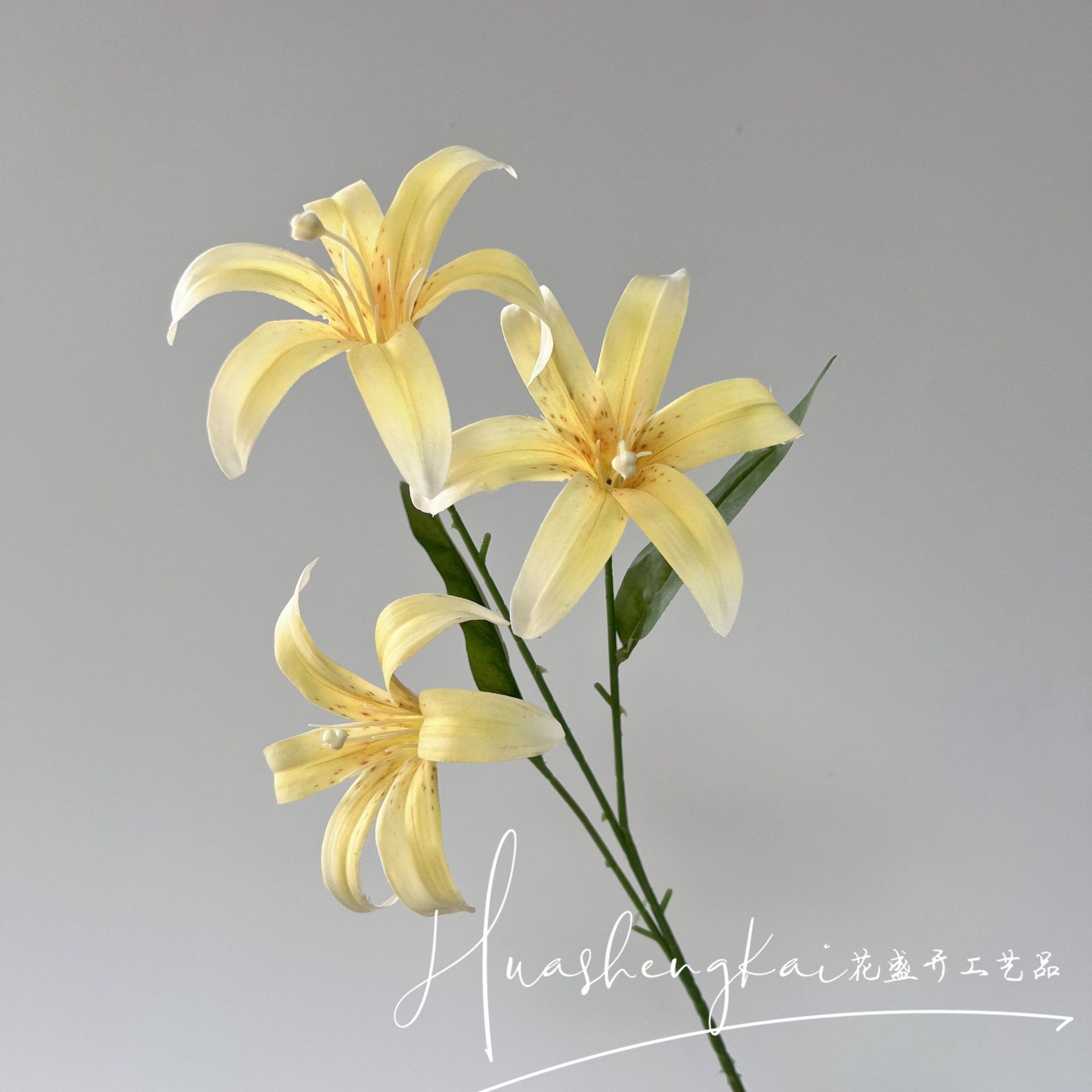 Jaune Lys Doré