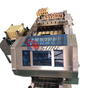 Hot Sale Egg <span class=keywords><strong>Loading</strong></span> Tray Equipment Preço