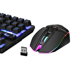 Ratón inalámbrico de diseño OEM de alta calidad, Mouse óptico de 2023 Ghz para Gaming, RGB, para PC, carcasa de ordenador de escritorio, ratón USB, 2,4 - Product Image 5