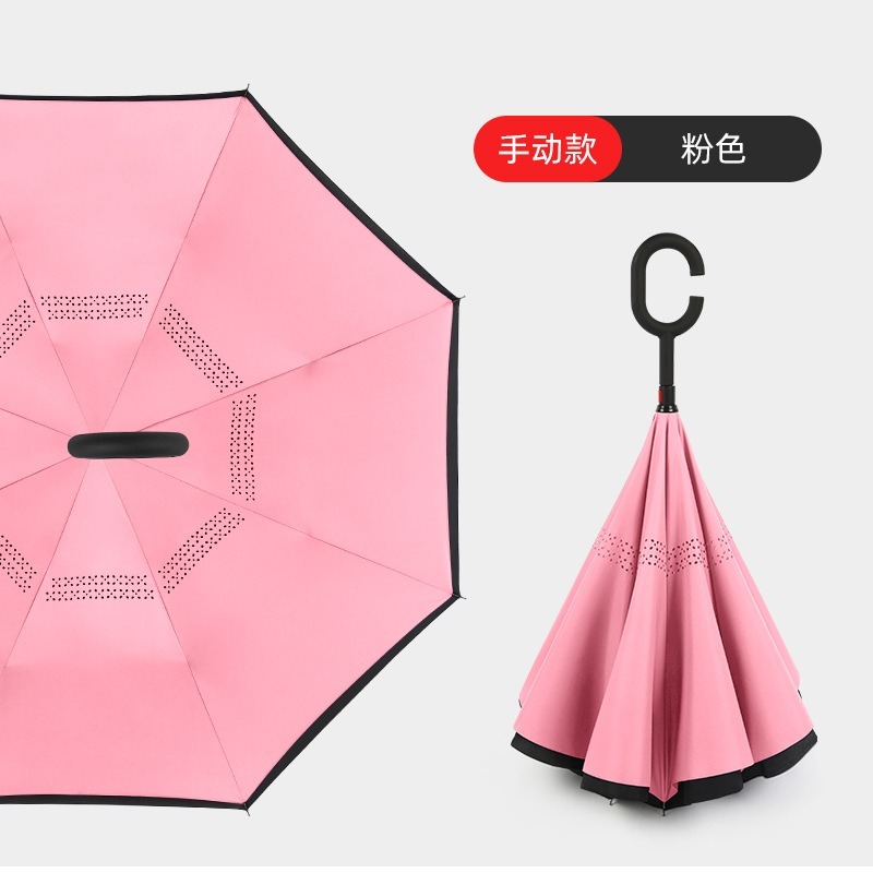 Rose, ouvert à la main.