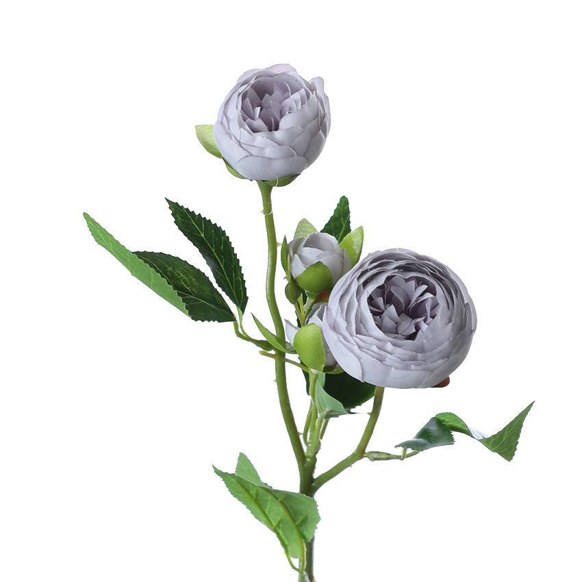 สีม่วงควันบุหรี่