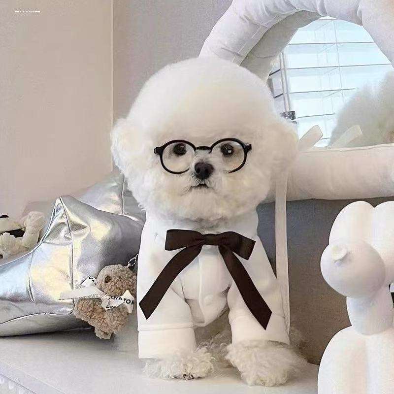 3447 (8 ซม. - รุ่นพีซี)