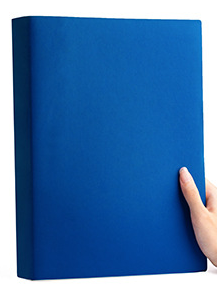 Bleu