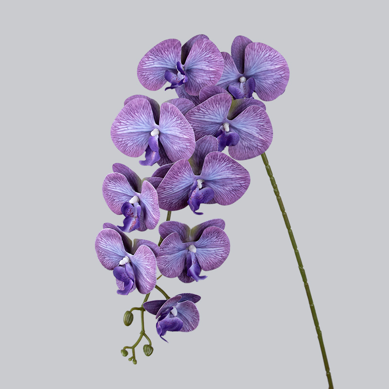 PU 9 Orichidé-violet