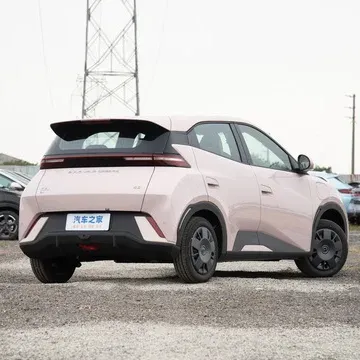 Linker Hand Byd Zeemeeuw Gebruikt Nieuwe Energie Voertuigen Nieuwe Auto 'S Elektrische Elektrische Auto 'S Gemaakt In China
