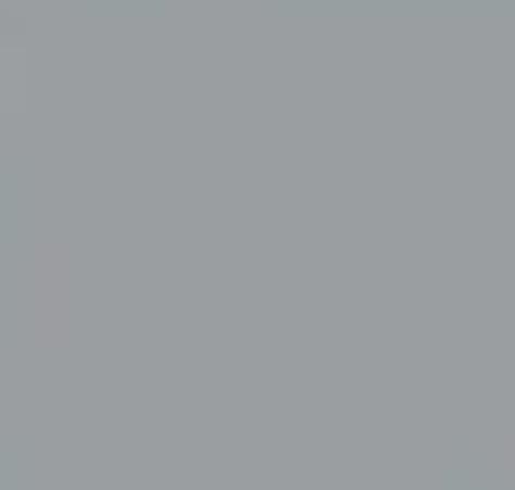 Gris 7040