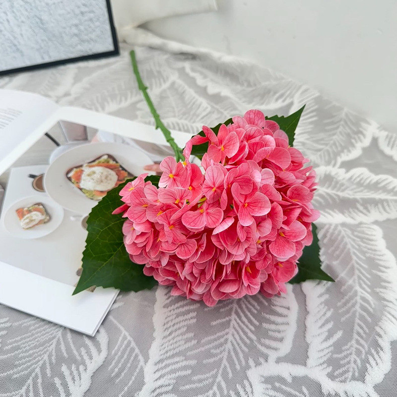 Rose foncé
