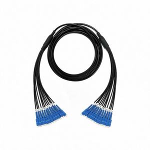 टीपू सामग्री बख्तरबंद एकल मोड 12-कोर फाइबर ऑप्टिक पैच कॉर्ड एलसी/एससी/एससी/एफएससी/एसटी - Product Image 3