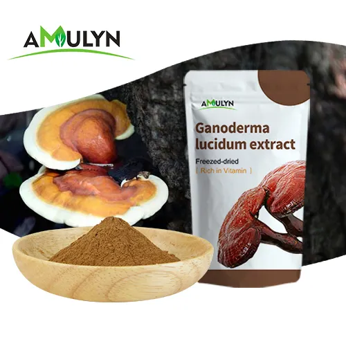 Extrait d'amulyn de chine organique de 120 ml, extrait de champignon, ganoderma lucioffre spéciale