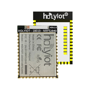 Holyot ble5.0 אנרגיה נמוכה רשת בל אוטומציה חכם מודולים אוטומציה חכם 18010 nrf52840 מודול