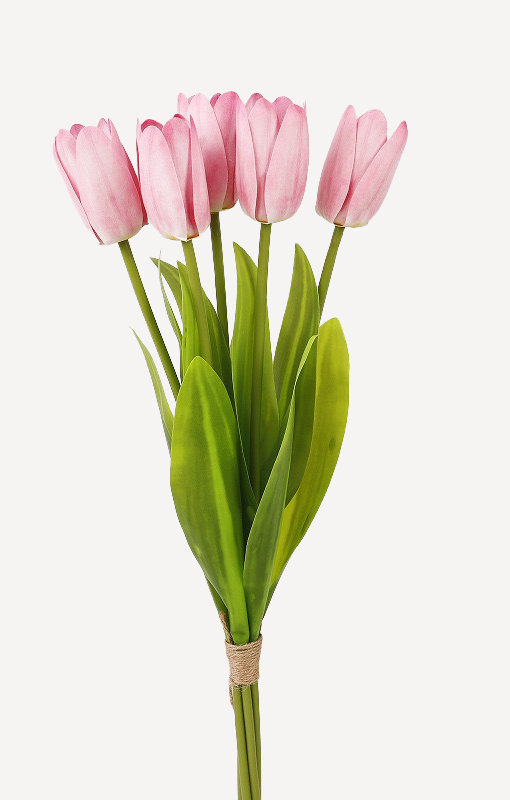 Rose poudré