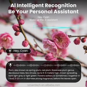 Kacamata Pintar AI, Ulasan terbaik, kacamata menembak Vlog, kacamata terjemahan, terhubung ke ChatGPT, ringan dan nyaman - Product Image 5