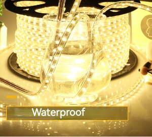 SMD5050 <strong>RGB</strong> Monochrome Outdoor Engineering Linear Light IP67 Waterproof 220v <strong>RGB</strong> Soft <strong>Led</strong> Strip