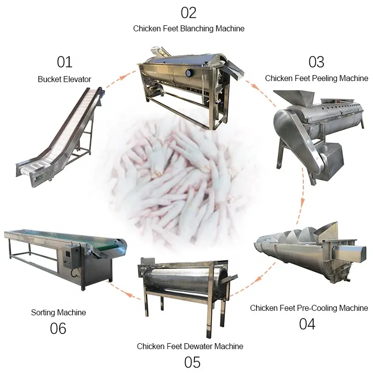 Machine à éplucher les pieds de poulet, équipement de traitement des pattes de chien