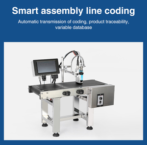 Automatic Online Printing Tij Inkjet Printer Variable Data Expire Date Qr Code Series Number Coding Machine - Product Image 3