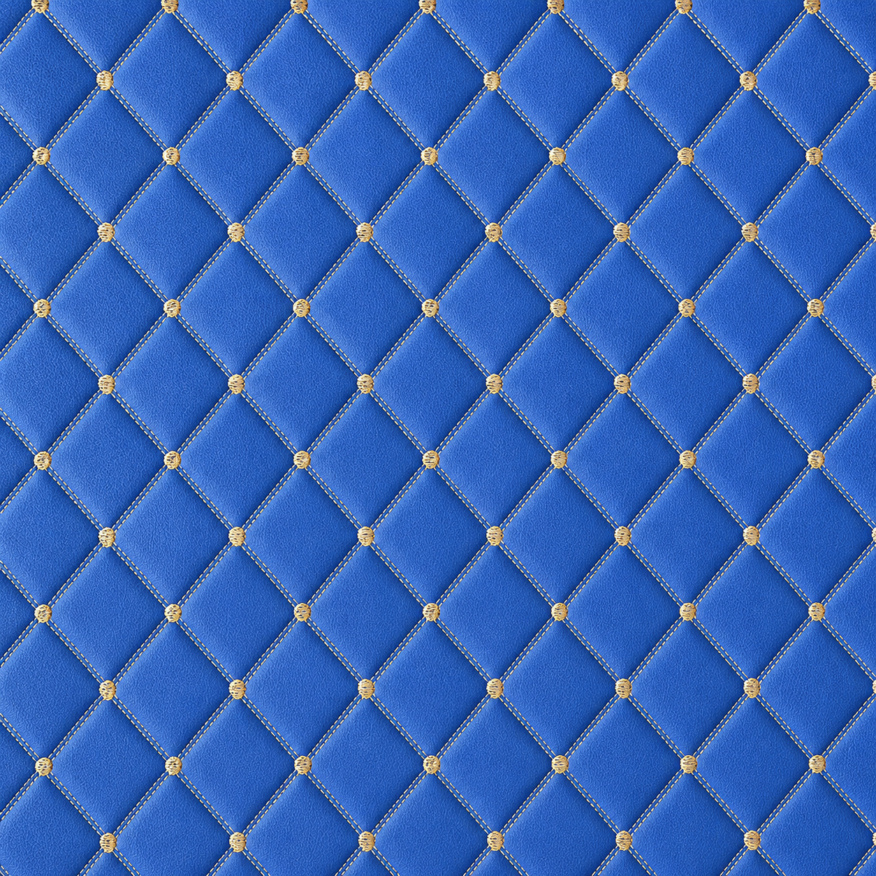 01# Bleu