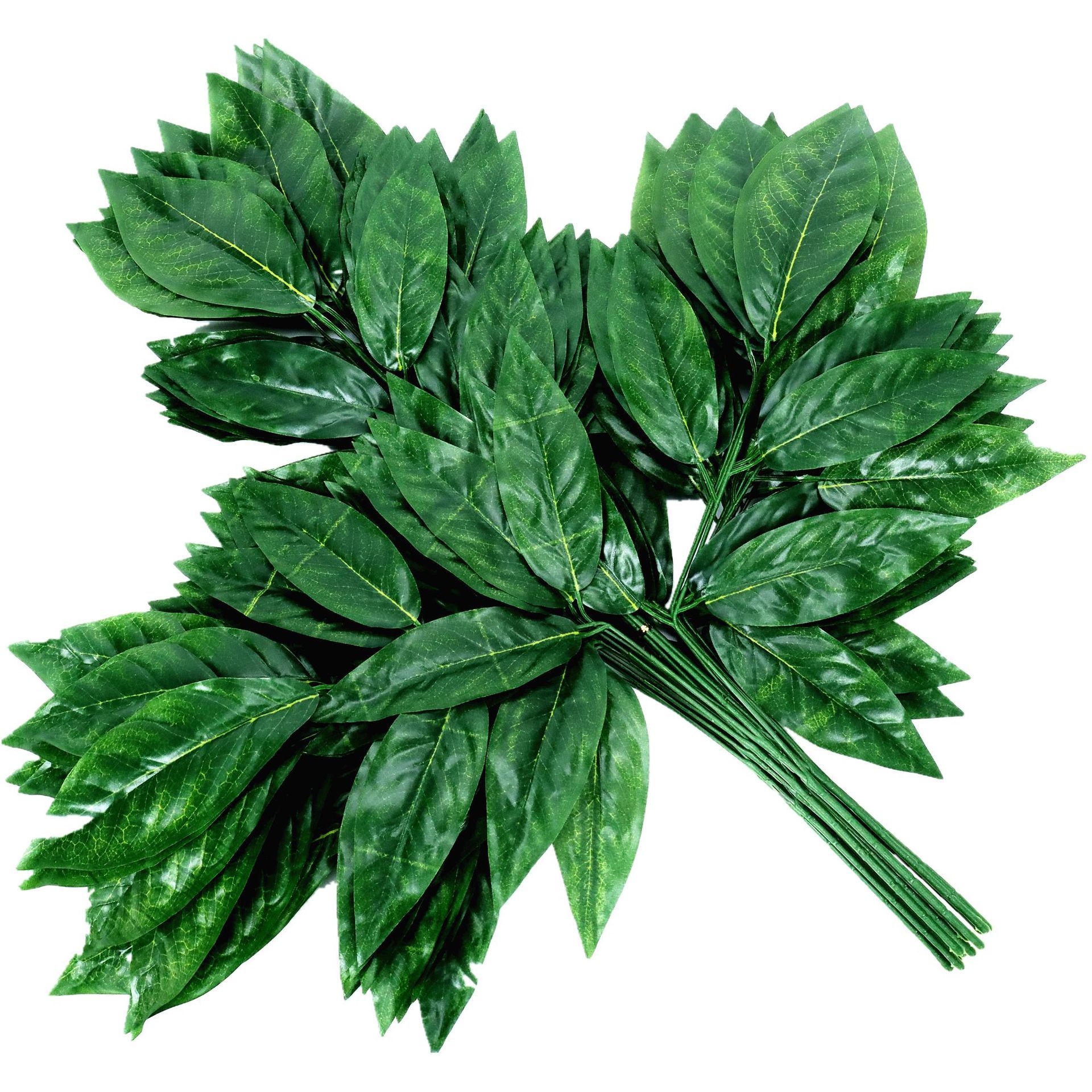 Feuille de manguier à 3 fourches, type A