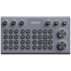 SODLK S1116 200W taşınabilir Karaoke makinesi mikser Combo ve yetişkinler için 2 kablosuz mikrofonlar ile enstrüman PA sistemi için parti