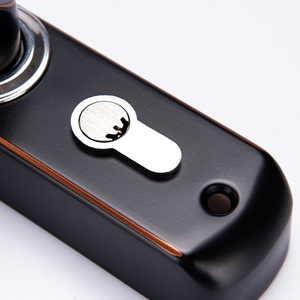 Bán buôn Nhà máy cung cấp hai mặt chống gỉ BIỆT THỰ VƯỜN kết hợp cơ khí mật khẩu khóa cửa Cấu hình cơ thể khóa 3085 - Product Image 6