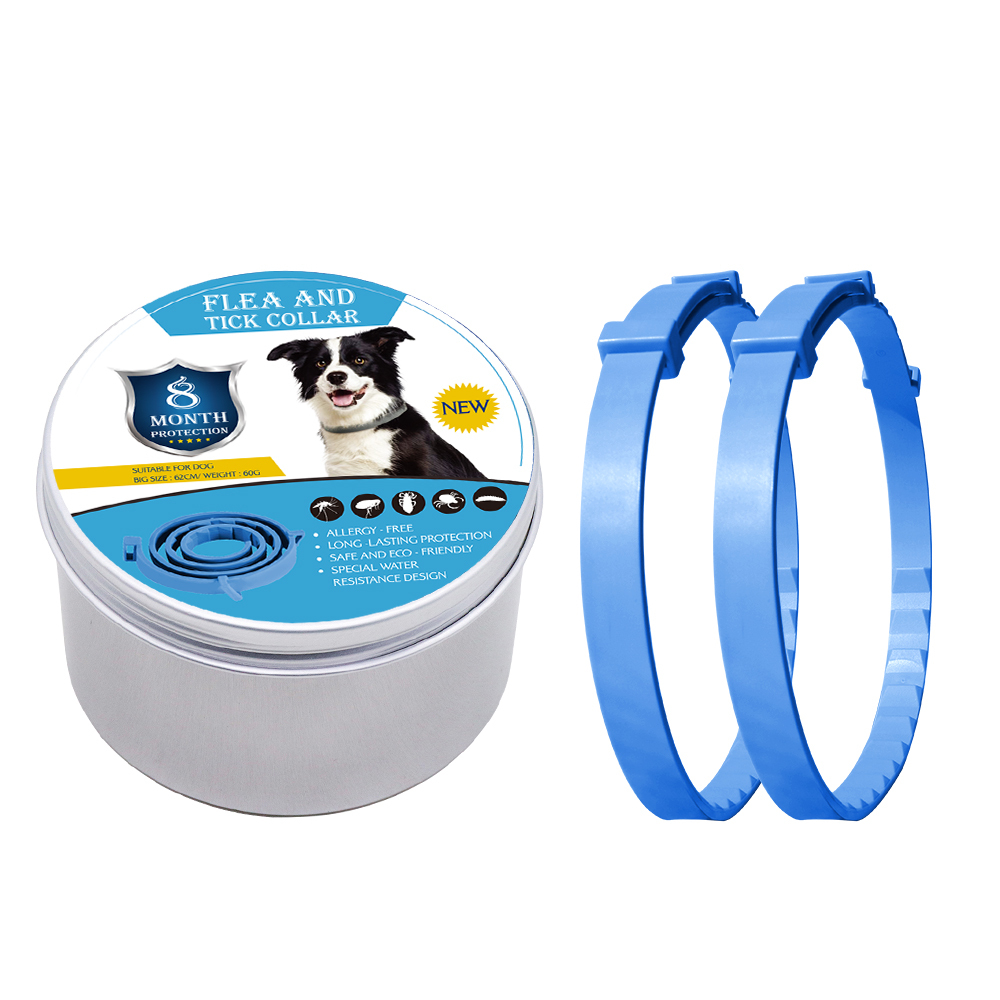 Chien bleu
