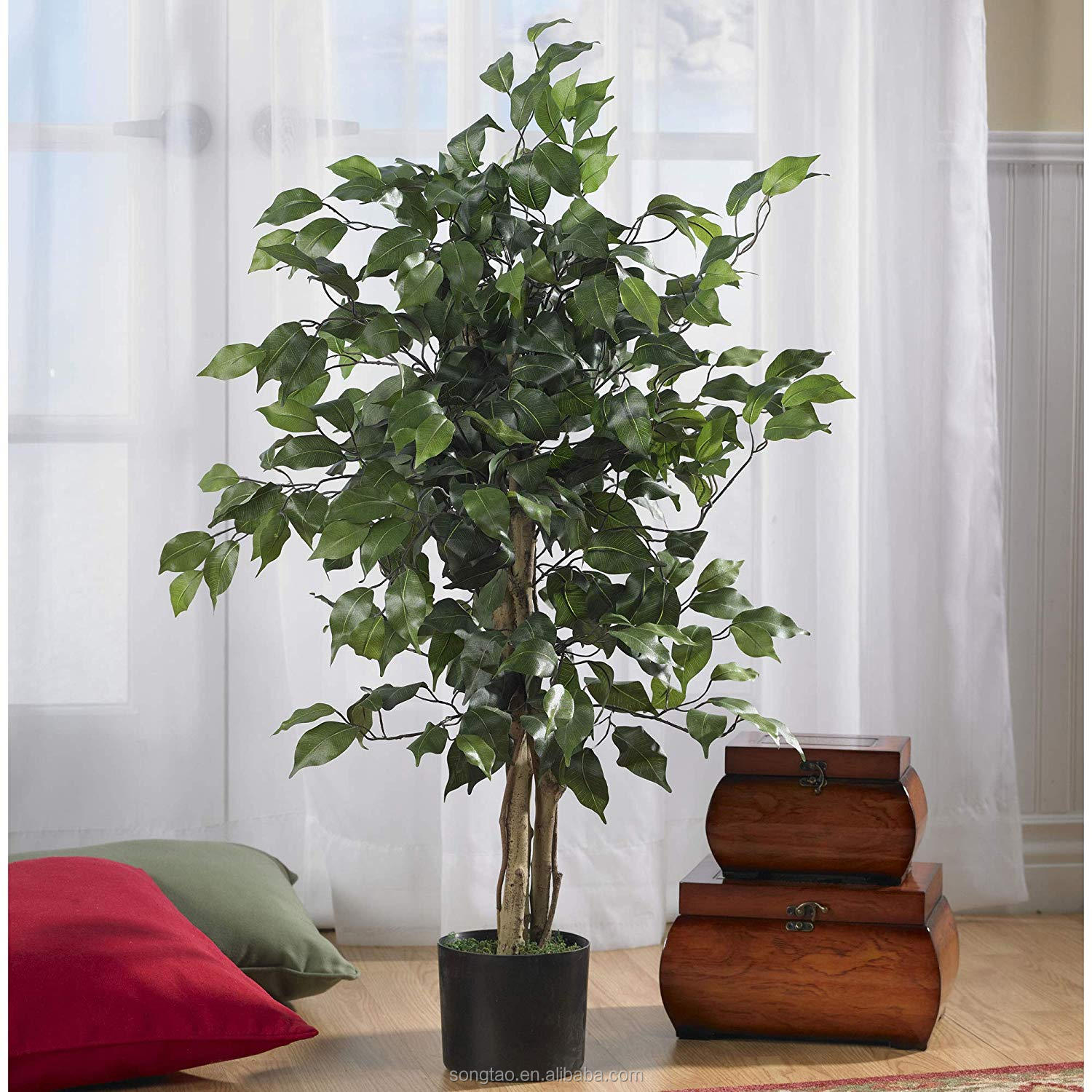 Petits arbres