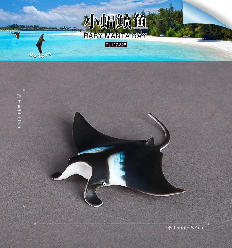 828 Baby Manta Ray