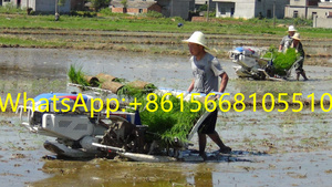เครื่องปลูกข้าวแบบพกพา4แถว6แถว8แถว,เครื่องปลูกข้าว/ที่ปลูกข้าวเปลือก/ที่ปลูกข้าวความเร็วสูง - Product Image 5