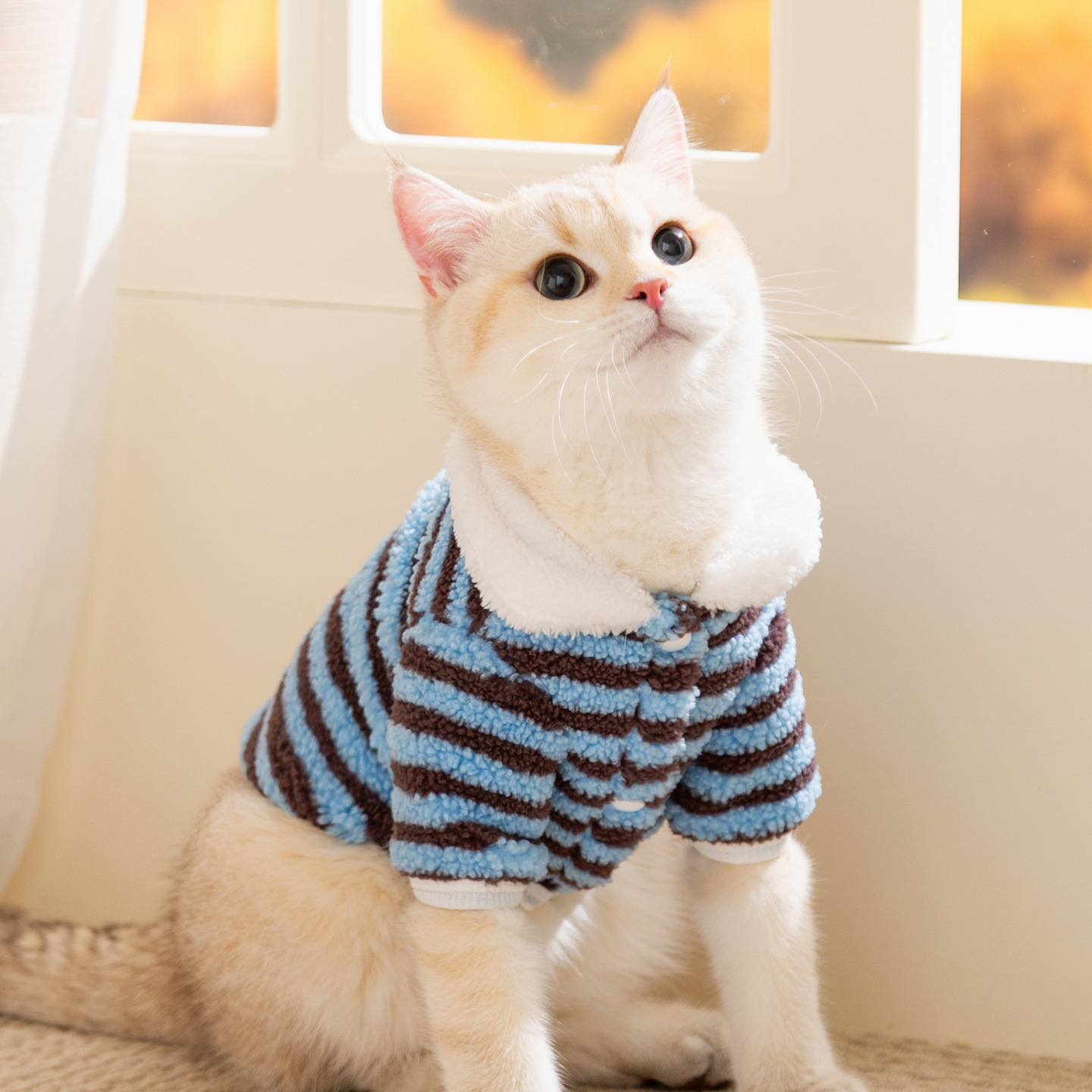 bleu