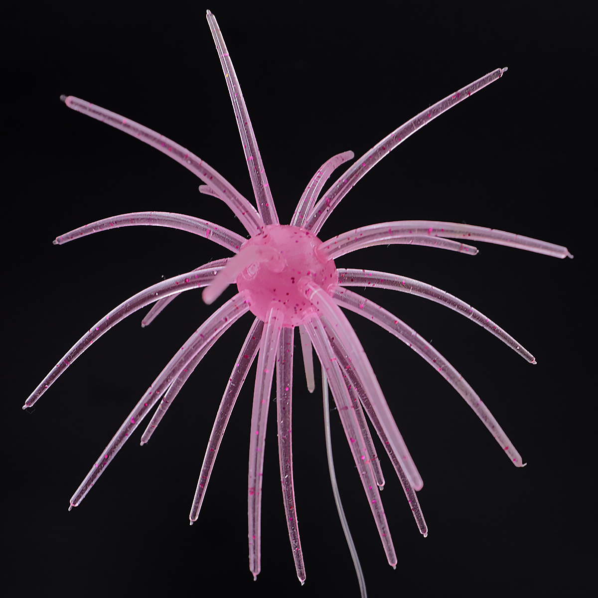 M 005