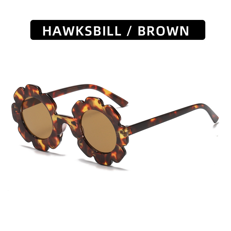 C9-Hawksbill/Brown