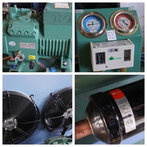 Factory -18&#8451; 5hp Air Cooled Condensing Unit RefComp <strong>Carlyle</strong> Compressor Industrial Frozen Room Meat Fish Chicken Cold Storage - Product Image 5