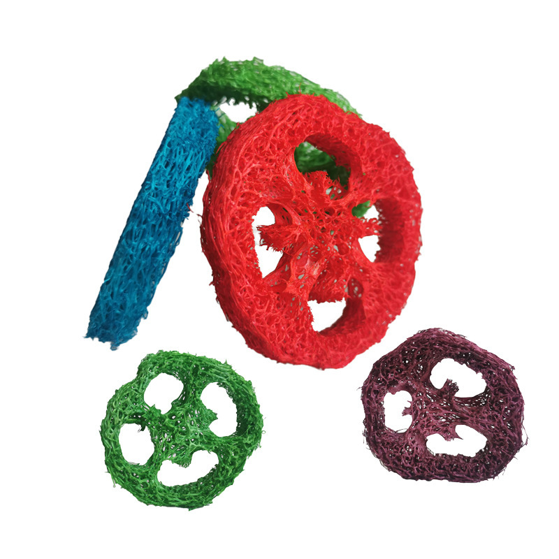 Tranches de concombre colorées, à l'unité.