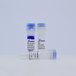 Tinzyme SapI Restriction Endonuclease Suitable for Rapid Enzymatic Digestion of Plasmid DNA, PCR Products, or Genomic DNA. - Product Image 2