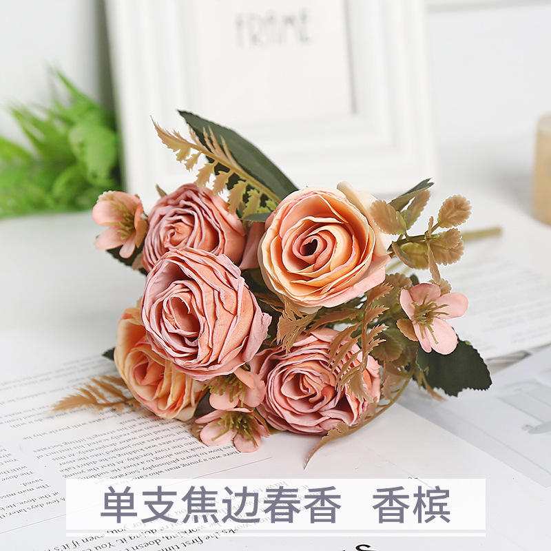 Champagne chunxiang à un seul bord de coke