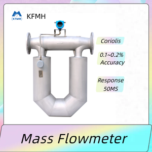 Tüm endüstriler için Coriolis kütle flowmetreler özelleştirilmiş OEM sıvı ve gaz akış ölçer sodyum hidroksit kütle akış kontrolörü - Product Image 4