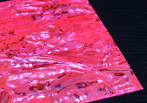 DB041 Sea Shell Design Sticker Abalone <strong>Paua</strong> Shell Sheet - Product Image 6